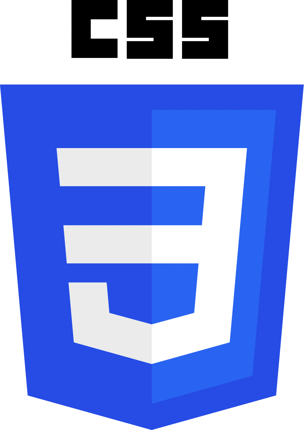 css3